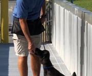 puppy_obedience_training_boynton_beach